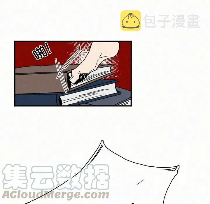29 第85页