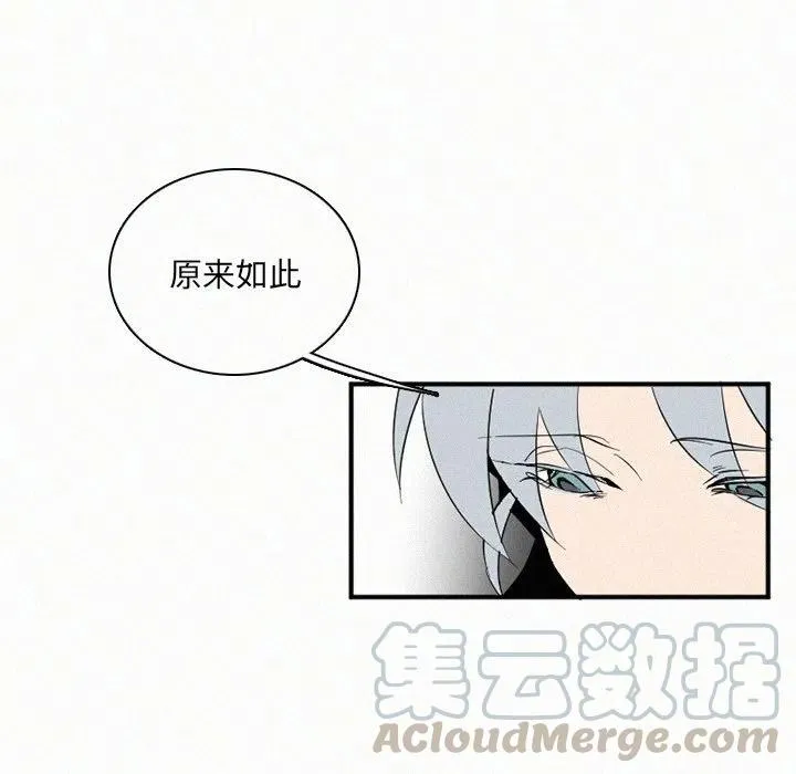 29 第113页
