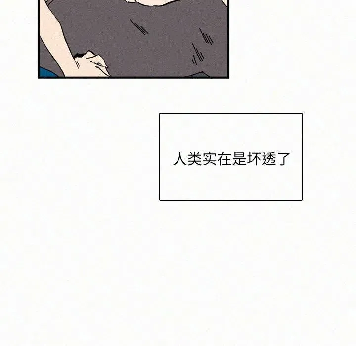29 第115页