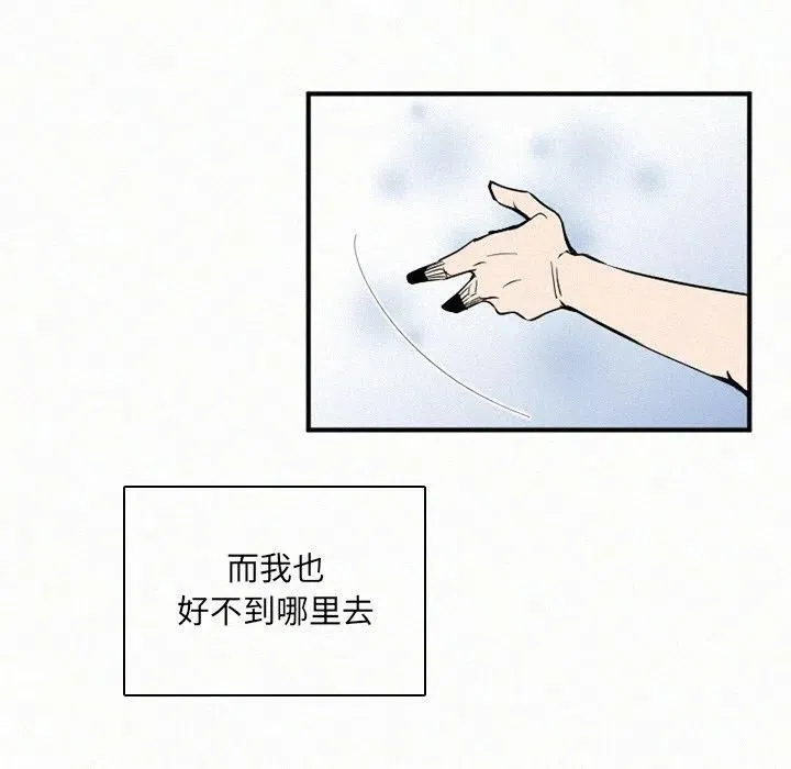 29 第116页