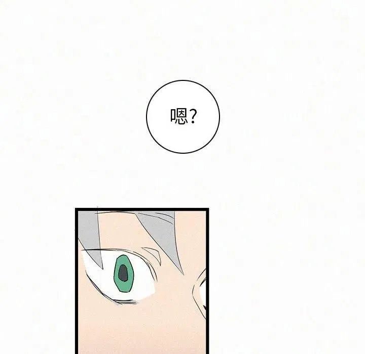 28 第11页