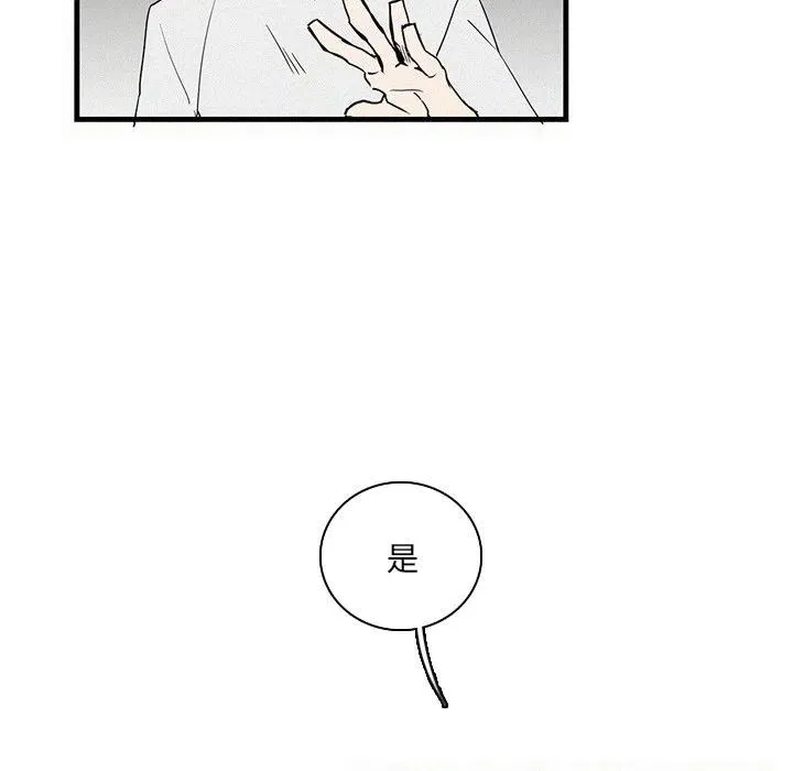 28 第54页