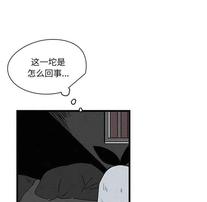28 第68页