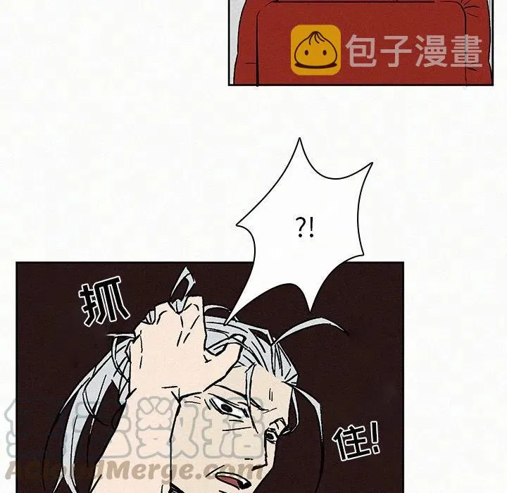 7 第28页