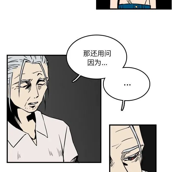 11 第48页