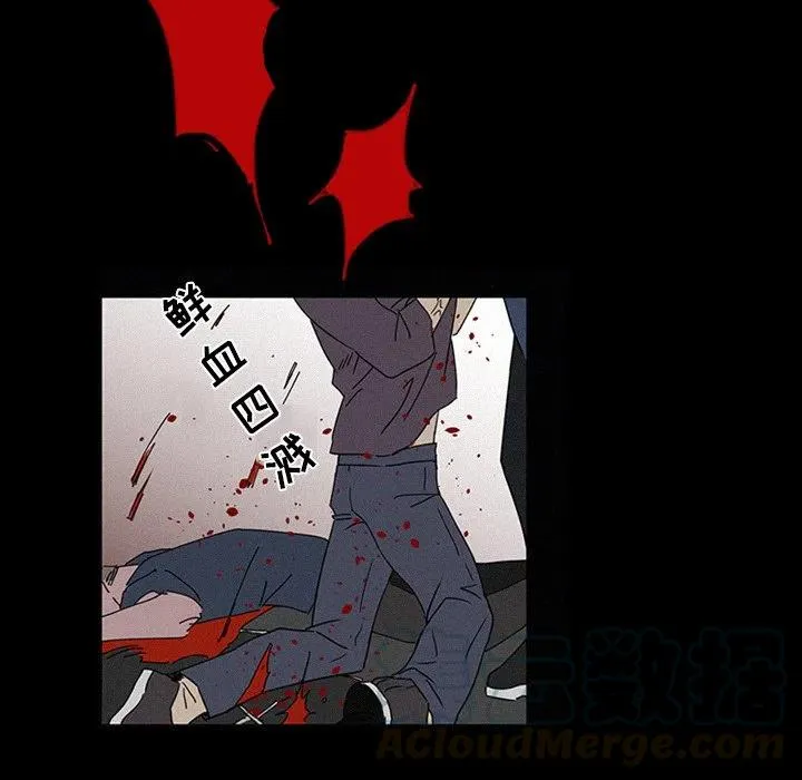 17 第13页
