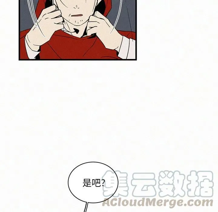 19 第13页