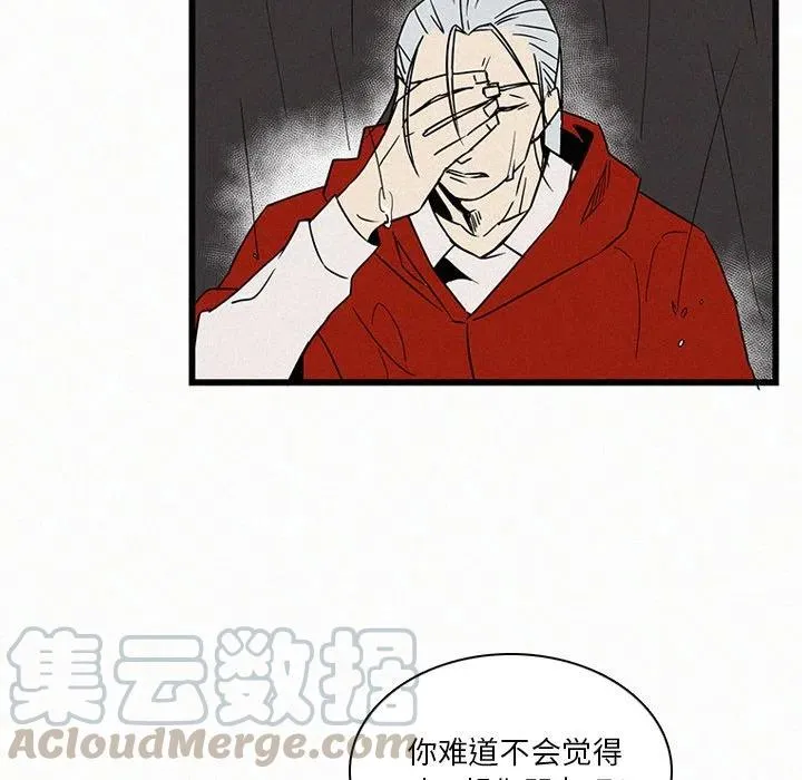19 第45页