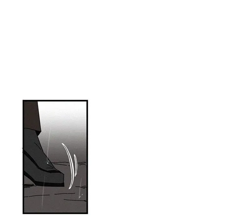 19 第78页