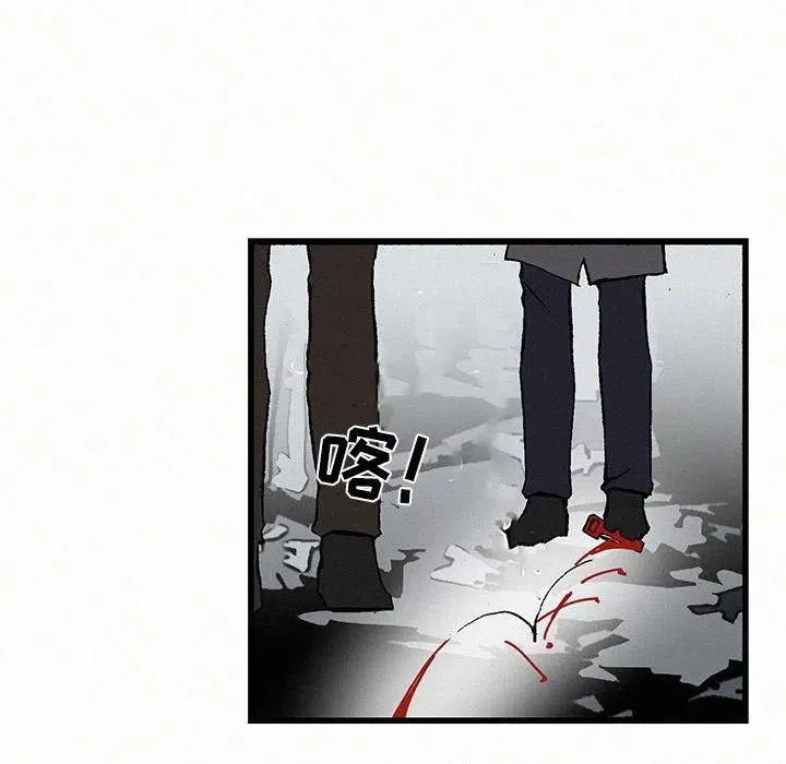 20 第48页