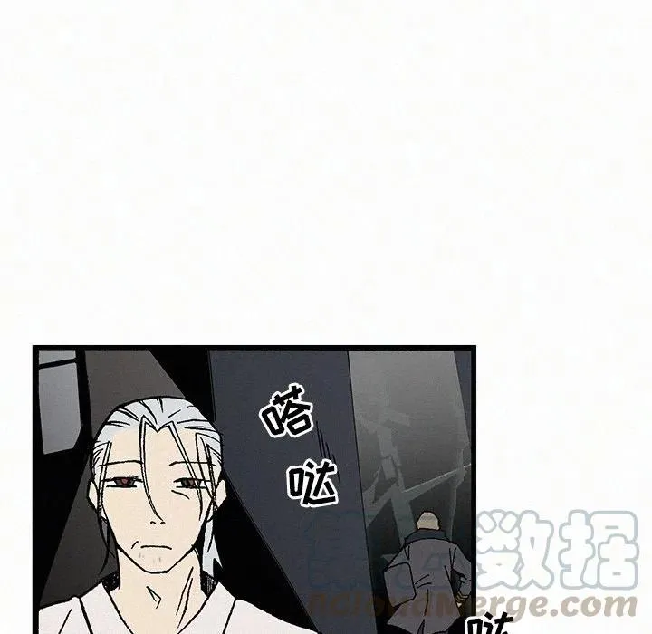 20 第53页
