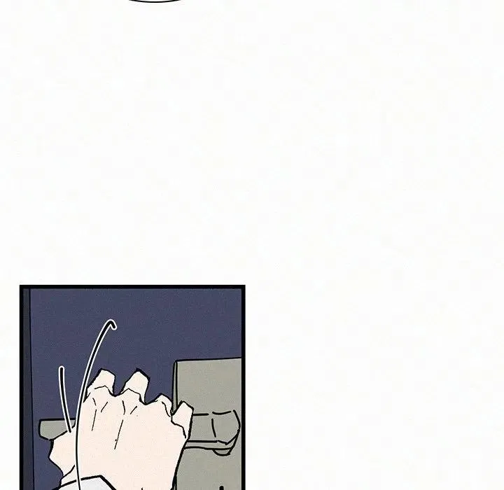 20 第64页