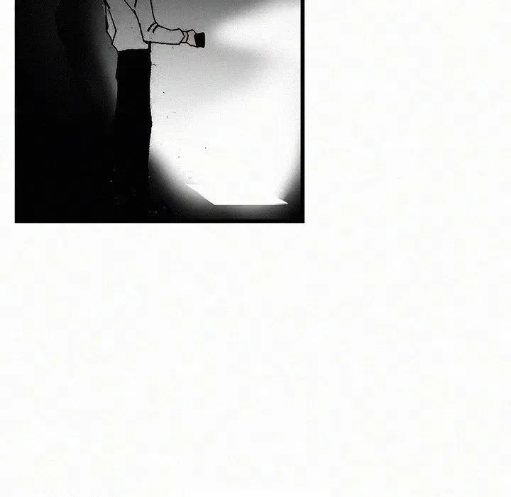 20 第71页