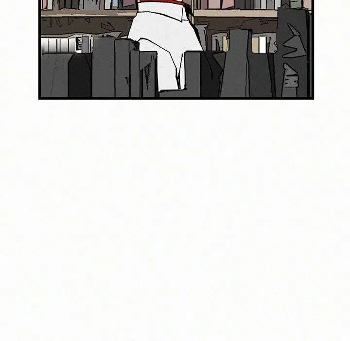 20 第75页