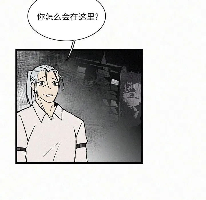 20 第91页