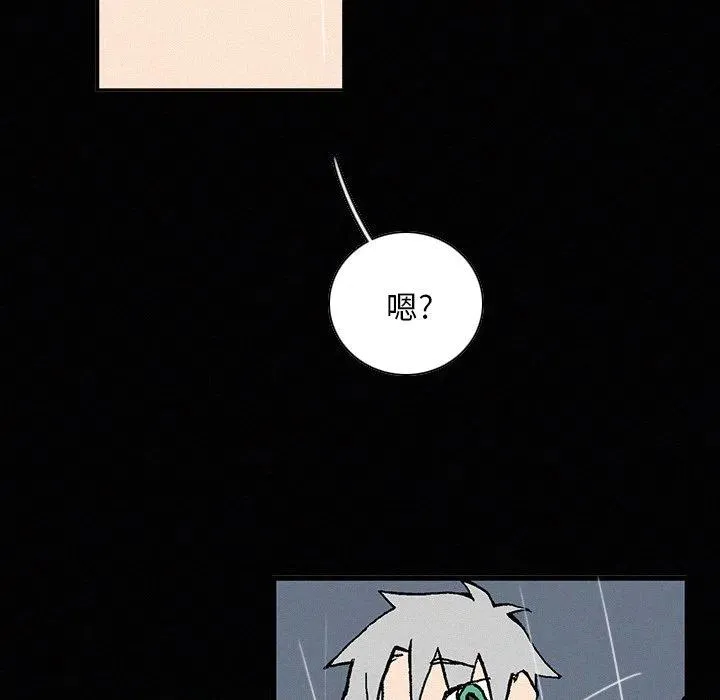 20 第95页