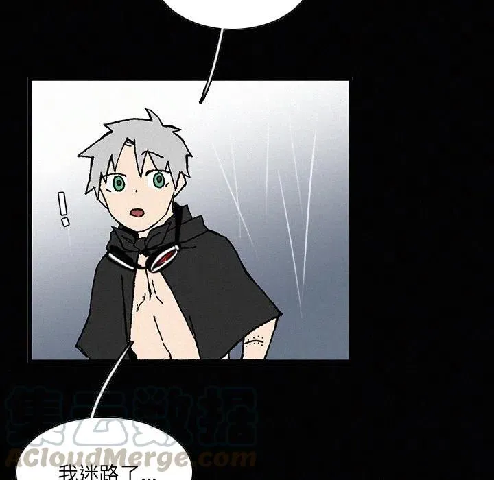 20 第97页