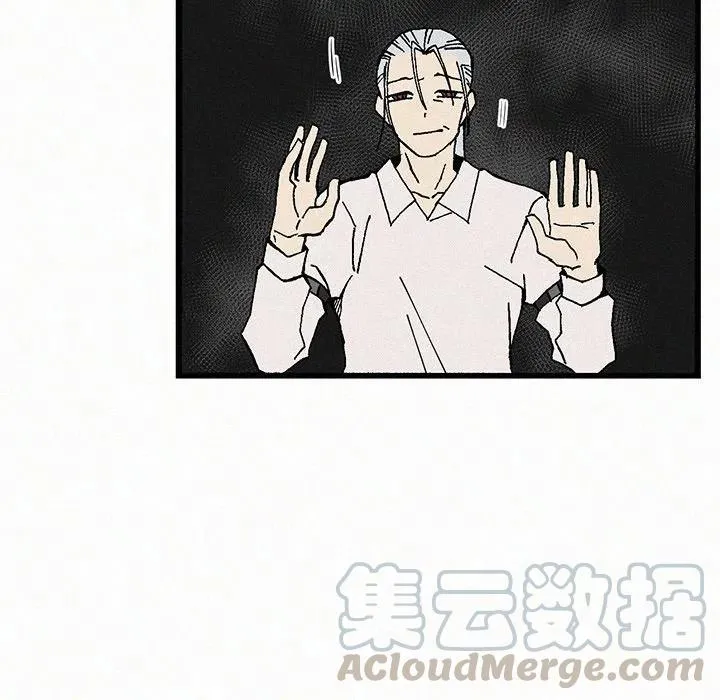 21 第41页
