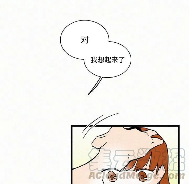 23 第49页