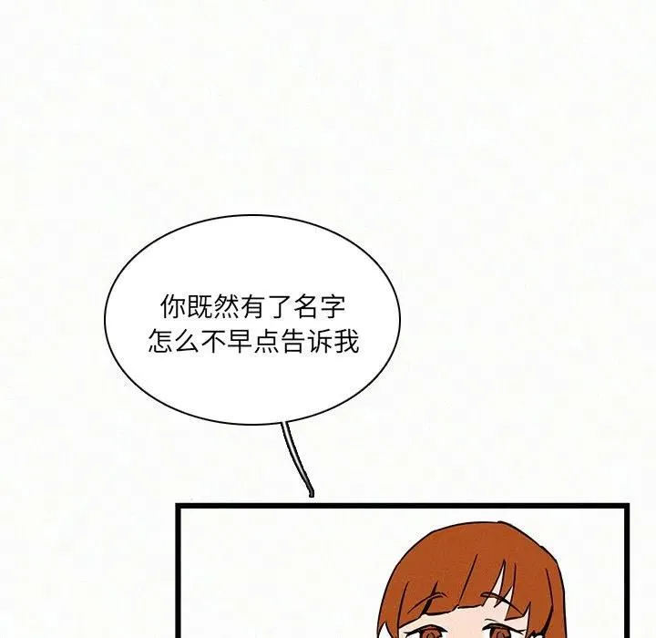 23 第51页
