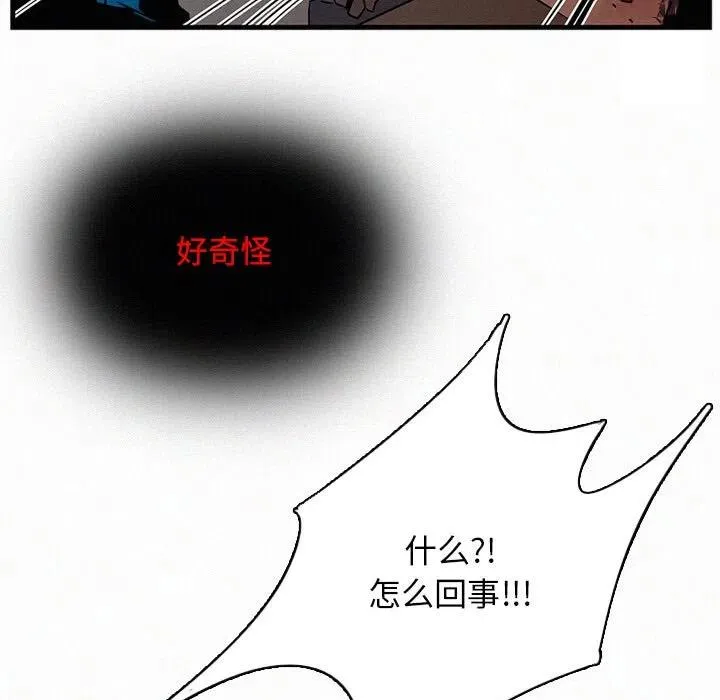 24 第66页
