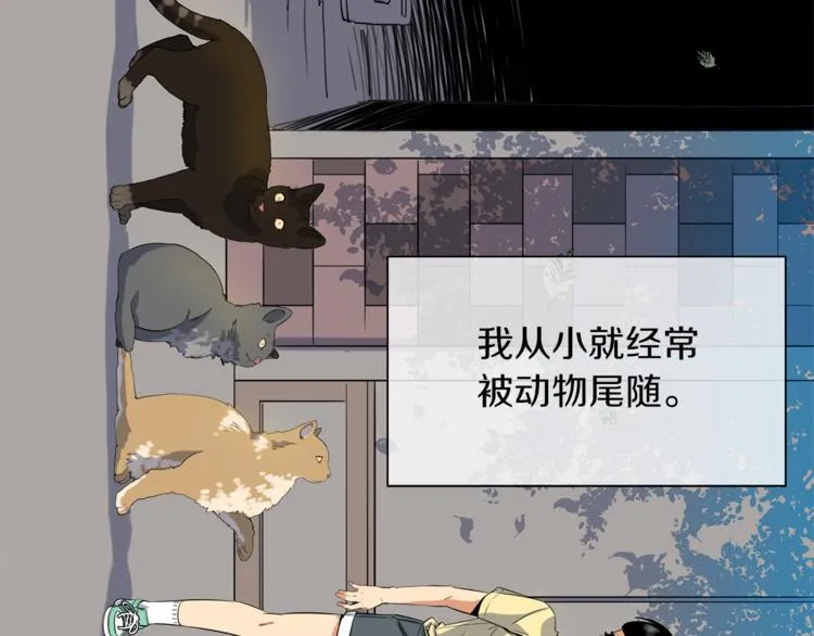 第0+1话 不可思议的经历？ 第5页