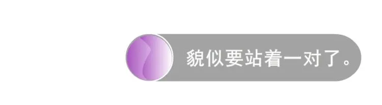 第15话 是你们女人太作！ 第6页
