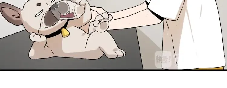 第34话 弱者为王1 第53页