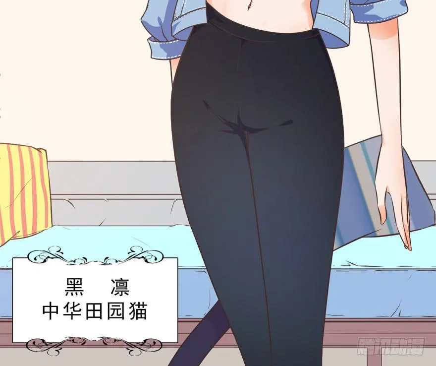 003和天敌同居？ 第5页