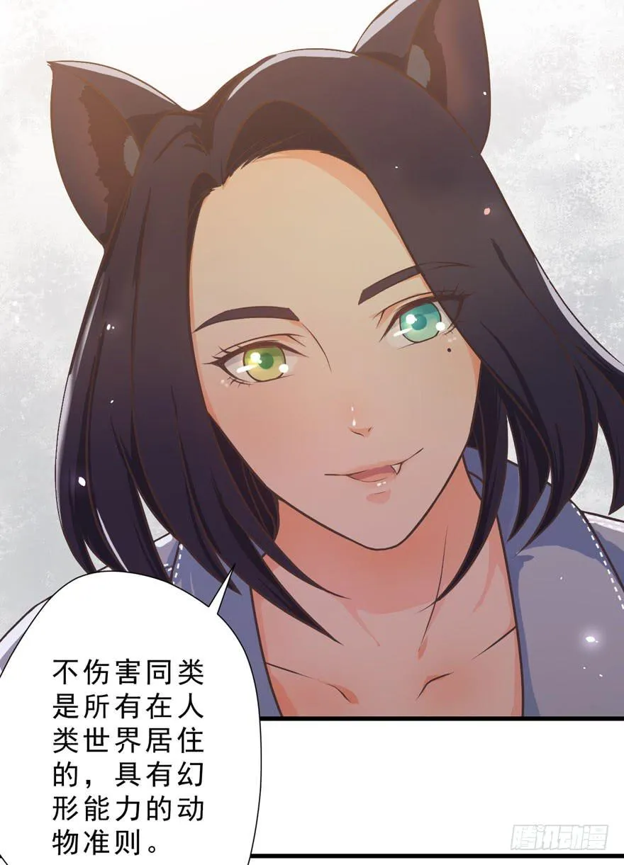 003和天敌同居？ 第11页