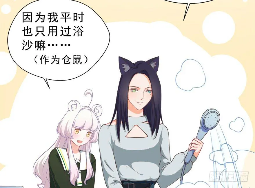 016不要给兔子洗澡 第41页