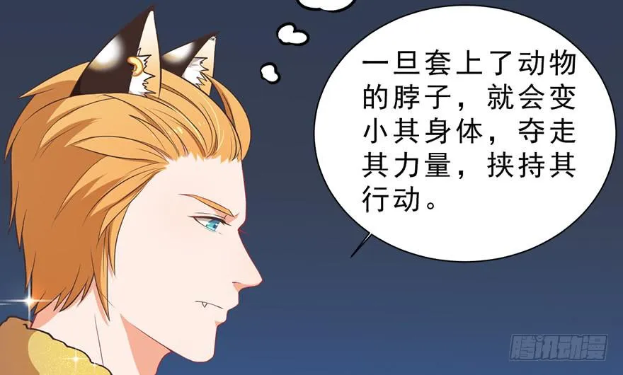 018深入后方 第59页