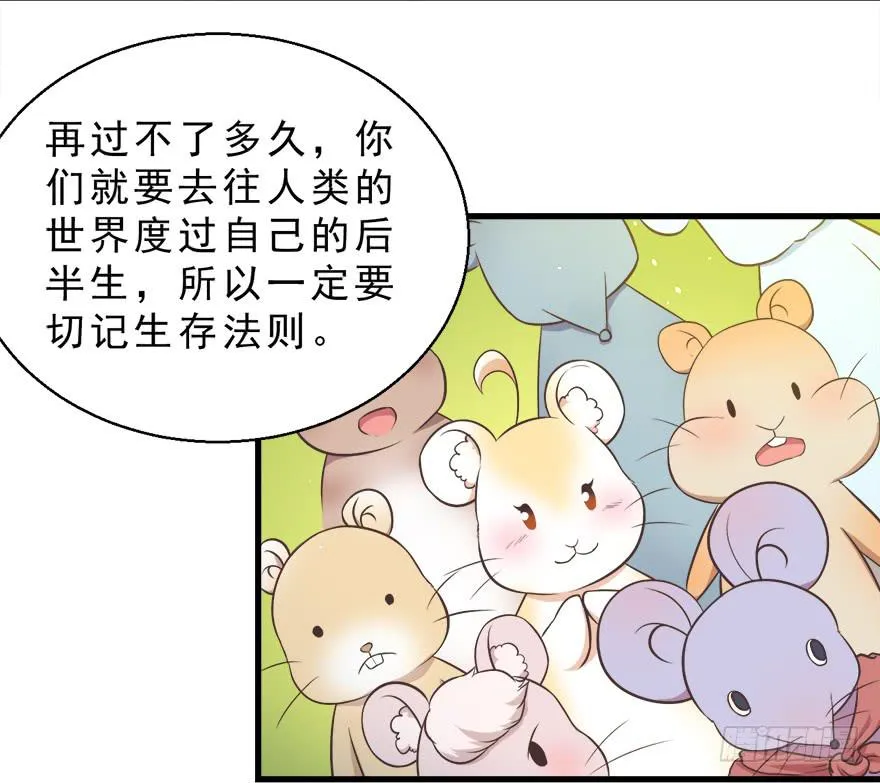 022九宝的回忆与动物平行世界 第29页