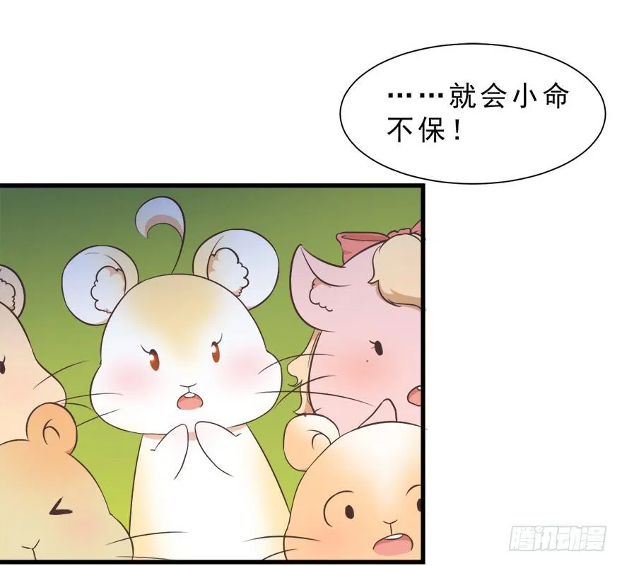 022九宝的回忆与动物平行世界 第34页