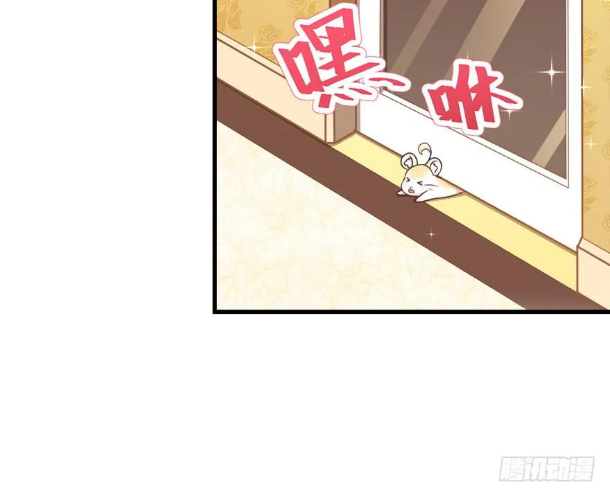 025九宝要被拍卖了 第5页