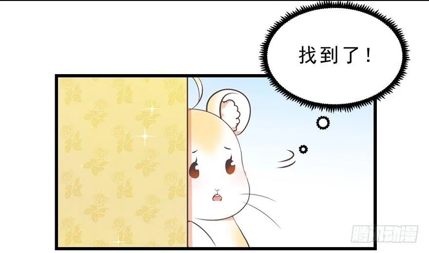 025九宝要被拍卖了 第10页