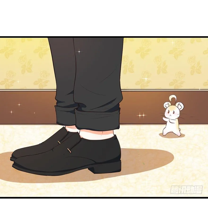 025九宝要被拍卖了 第11页