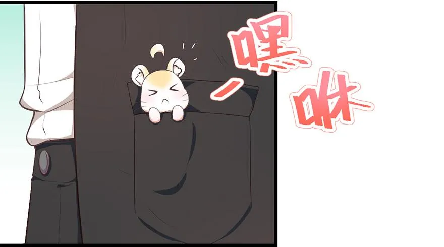 025九宝要被拍卖了 第15页