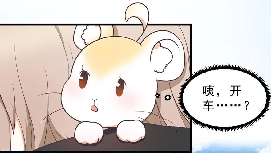 025九宝要被拍卖了 第19页