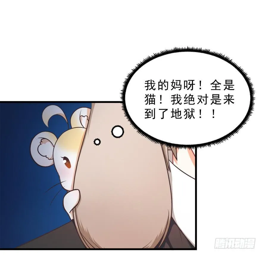 025九宝要被拍卖了 第41页