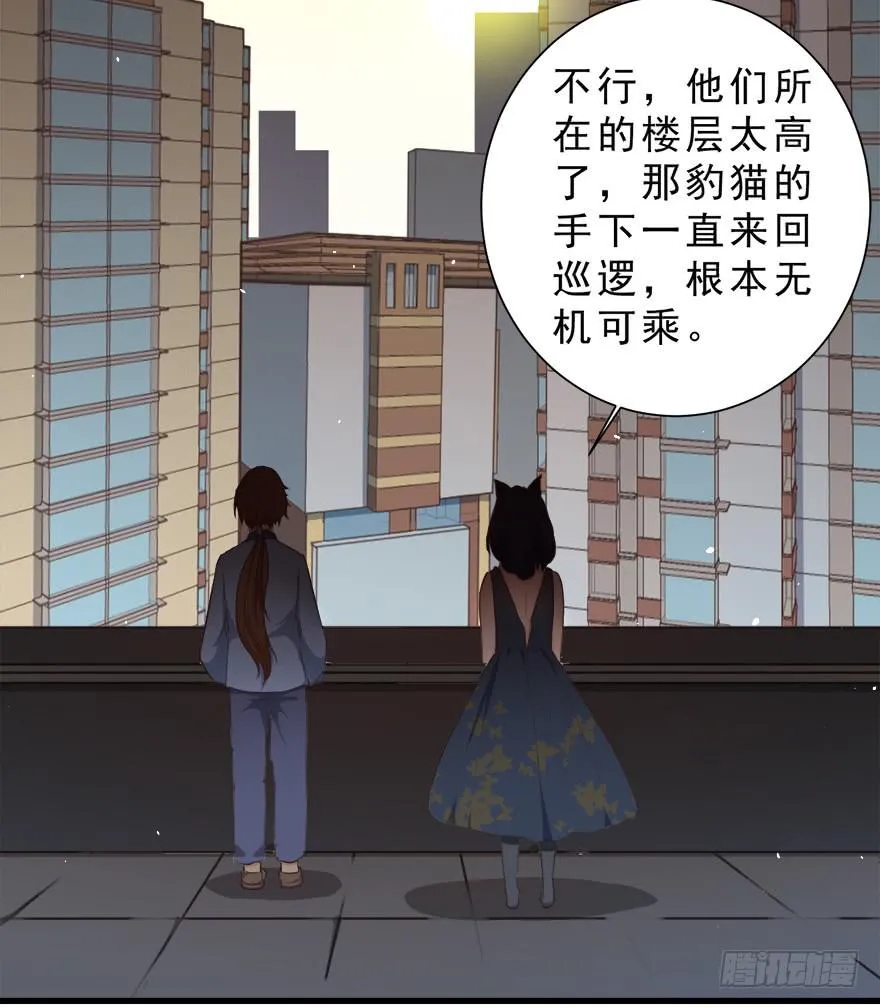 026殿下请别讨厌我 第50页