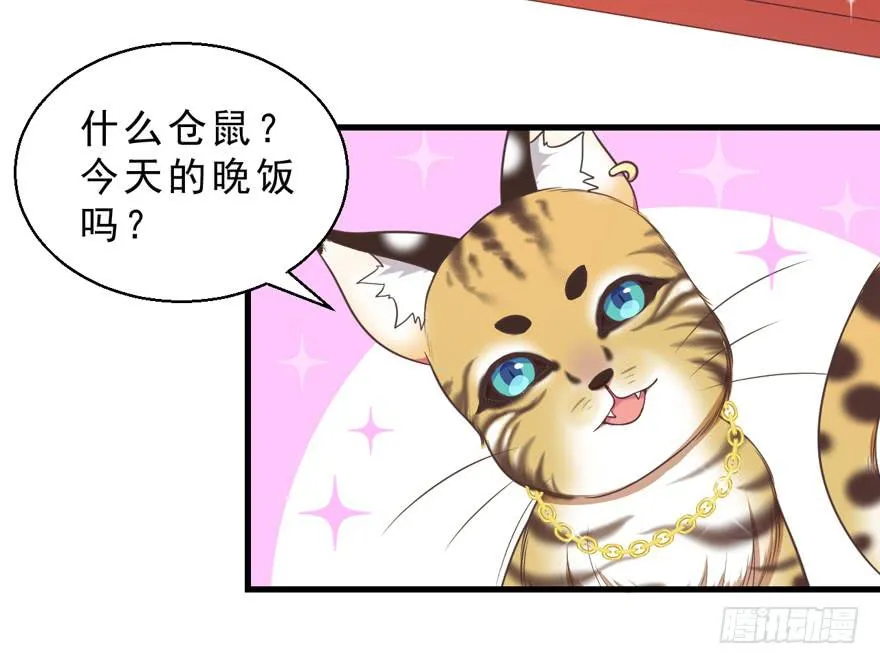 032兔子的秘密 第12页