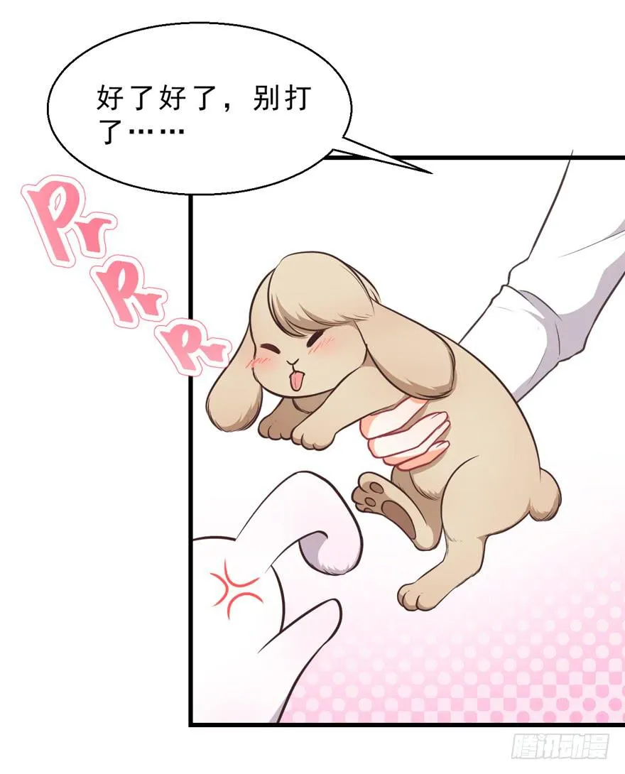 032兔子的秘密 第26页