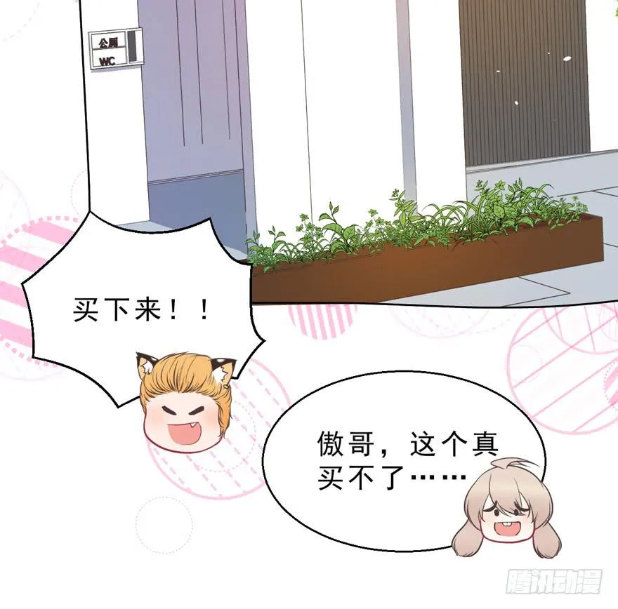 042和猫总裁的亲密约会 第14页