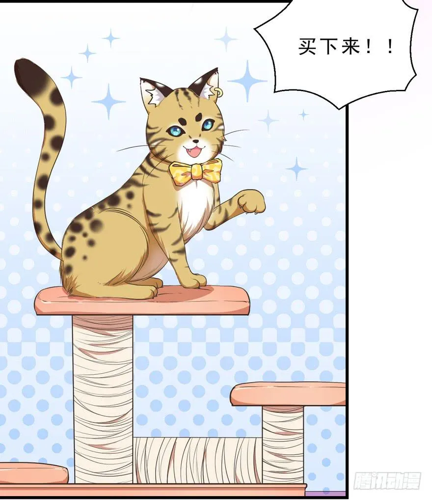 042和猫总裁的亲密约会 第19页