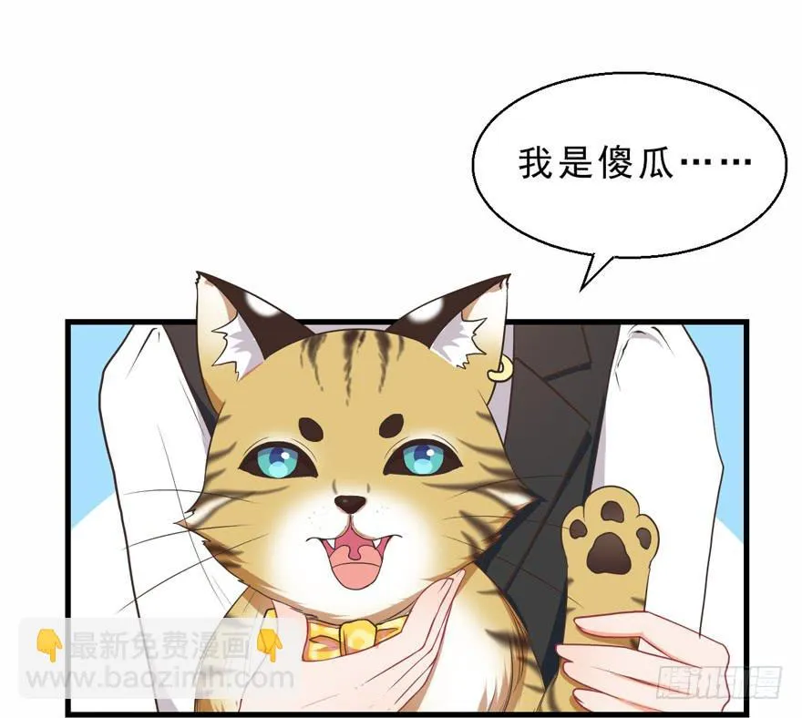 042和猫总裁的亲密约会 第22页