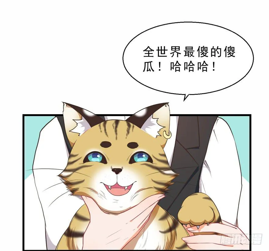 042和猫总裁的亲密约会 第23页