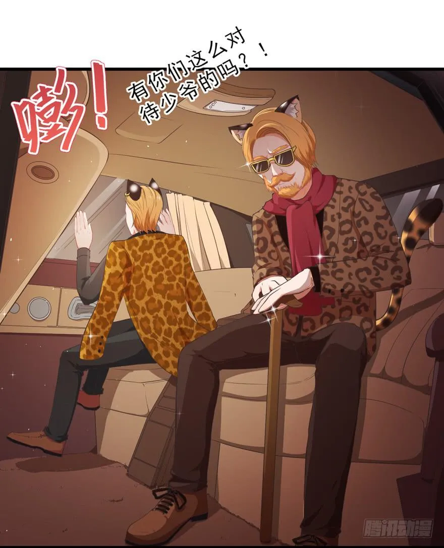 045乞丐猫总裁 第4页