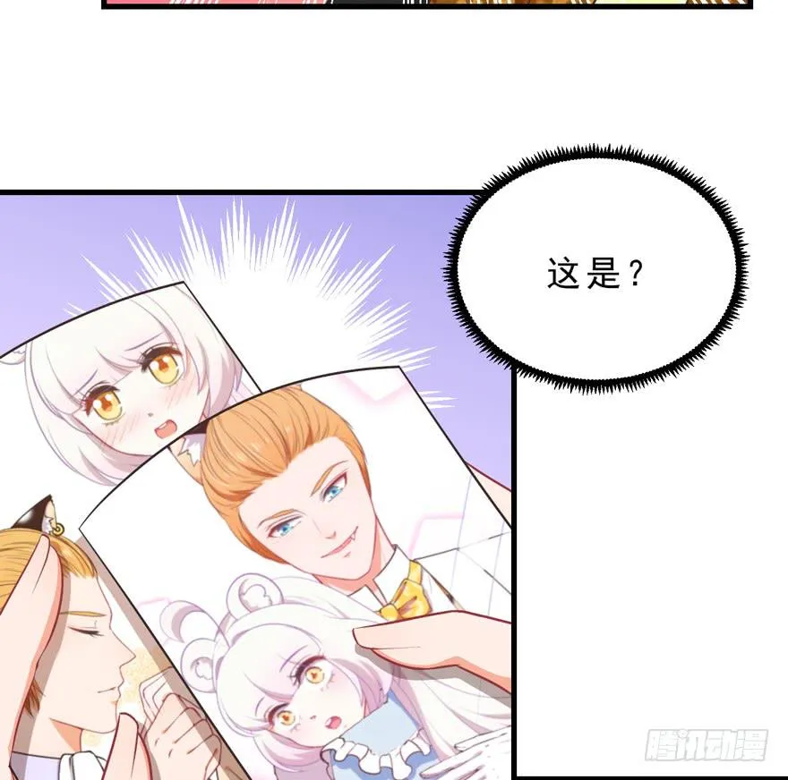 045乞丐猫总裁 第6页
