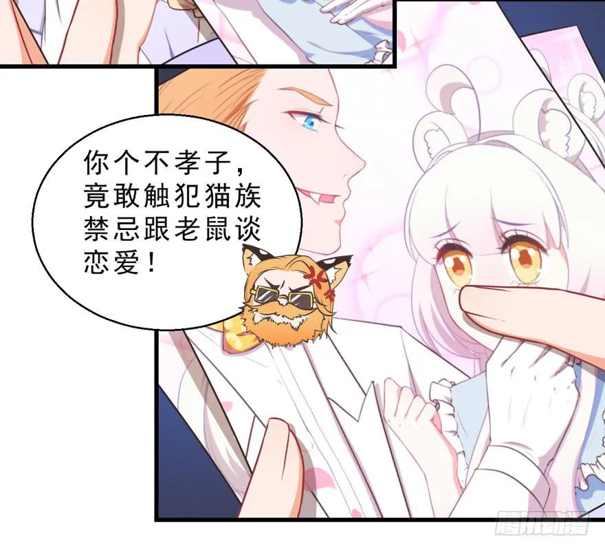 045乞丐猫总裁 第7页